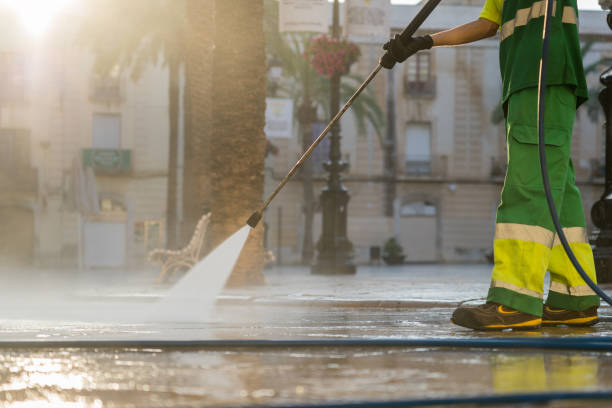 Best Deck Cleaning Services  in Big Rock, IL